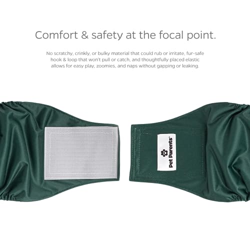 Washable Belly Bands for Male Dogs (Small (13-16") / Spruce)