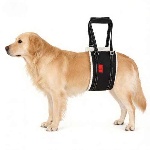 Dog Lift Harness (XL)