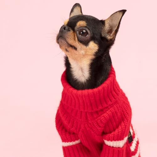 Valentines Dog Sweater (Large / Red)