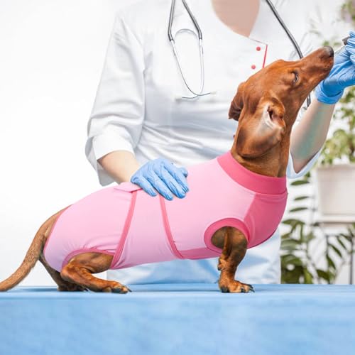 Dog Recovery Suit (Angel Pink / X-Large)