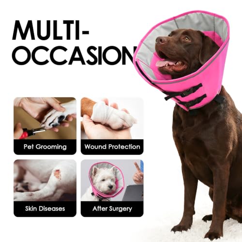 Soft Dog Cone Collar (PinkGrey / Large)