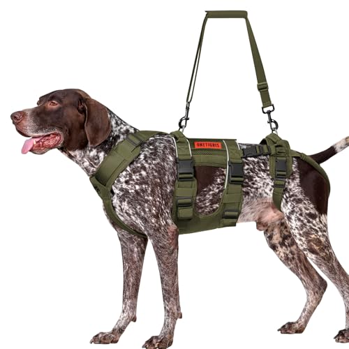 Breathable Dog Lift Harness for Medium Sized Dogs (X-Large / Green)