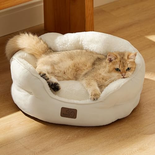 Small Dog Bed Washable (20"L x 19"W x 6"Th / Ivory)