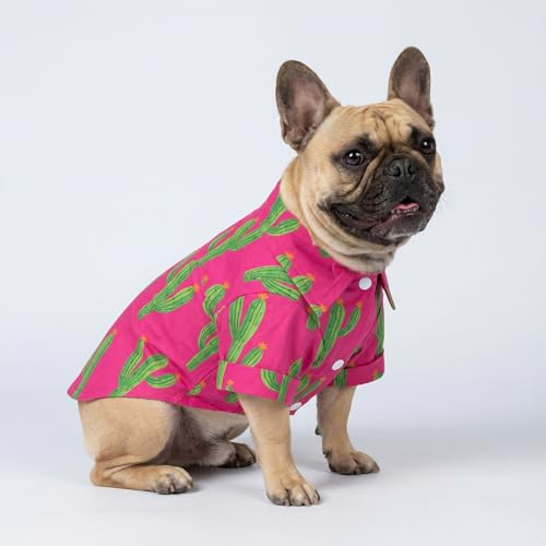 Cactus Hawaiian Dog Shirt (Large / Cactus)