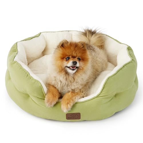 Small Dog Bed Washable (25"L x 21"W x 8"Th / Pale Bean Green)