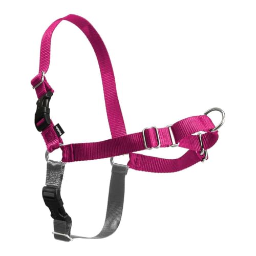 Easy Walk Harness (Large / Raspberry/Gray)