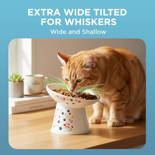 Necoichi Raised Cat Food Bowl (Sakura / Large Extra Wide Tilted)