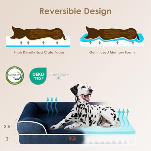 Orthopedic Extra Large Dog Bed (Navy / 44.0"l X 32.0"w X 6.5"th)
