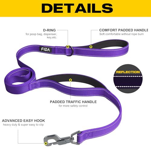 Heavy Duty Dog Leash for Medium Large Dogs (6 Feet (Pack of 1) / Purple)