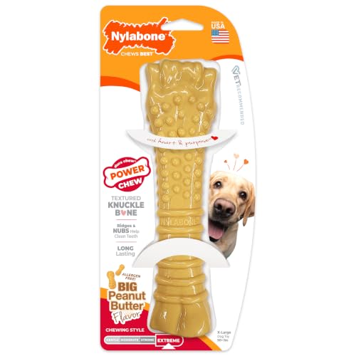 Power Chew Textured Bone Dog Toy (X-Large)