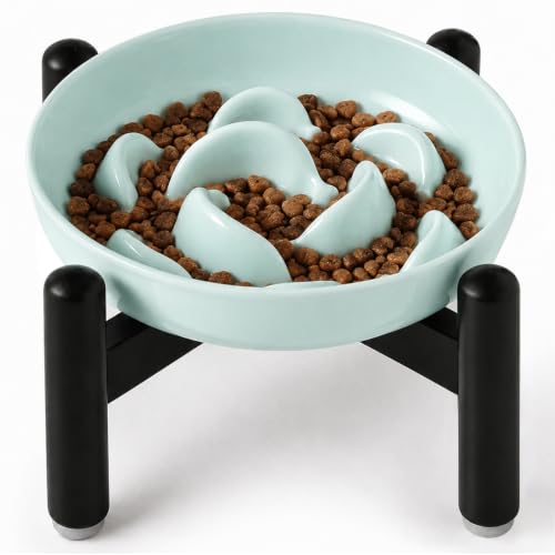 Elevated Slow Feeder Cat Bowl (Blue + Metal Stand / 9"H)