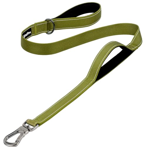 4FT Heavy Duty Dog Leash with Soft Padded Double Handle (4 FT x 1 in Wide / Green)