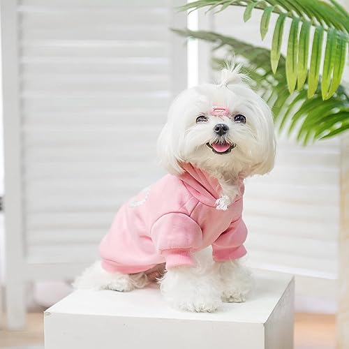 Princess Dog Hoodie (SM (Back: 14",Chest: 19", Neck: 16") / Pink(Prinecss))