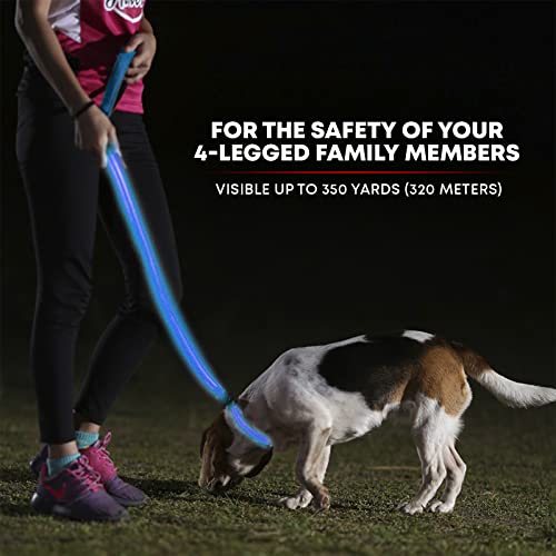LED Light Up Dog Leash (4 Feet / Royal Blue)