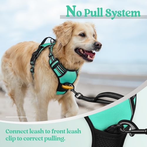 Dog Harness No Pull for Large Dogs with 2 Leash Clips (X-Large / Turquoise)