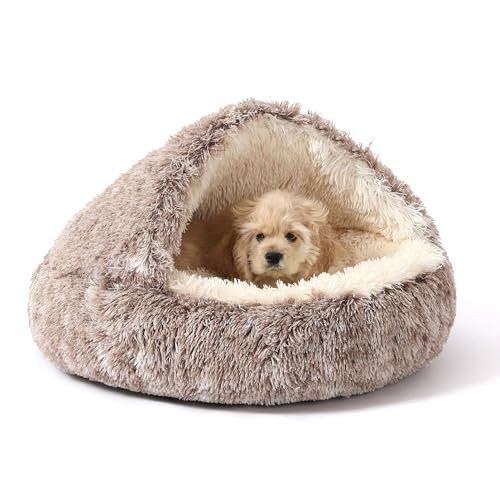 Hooded Donut Bed (Gradual brown / Small 19.6'')