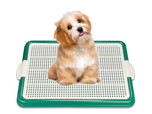Dog Pee Pad Holder Tray (Green)