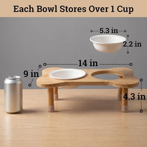 Elevated Dog Bowls for Small Dogs