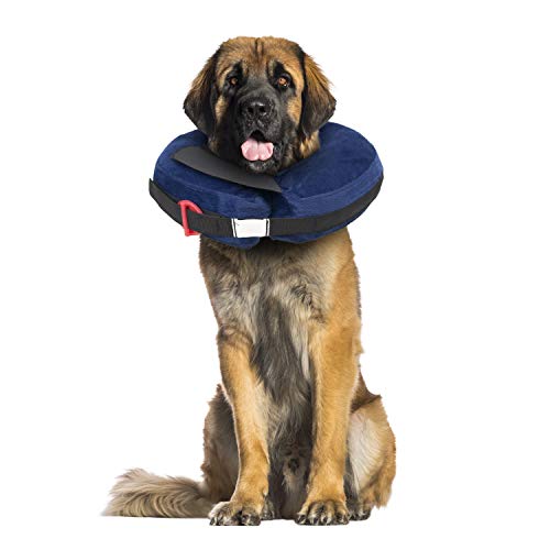 CP Basics Inflatable Collar XLarge (X-Large)