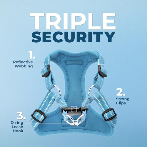 Voyager Adjustable Step (Harness Leash Set (Baby Blue) / S)
