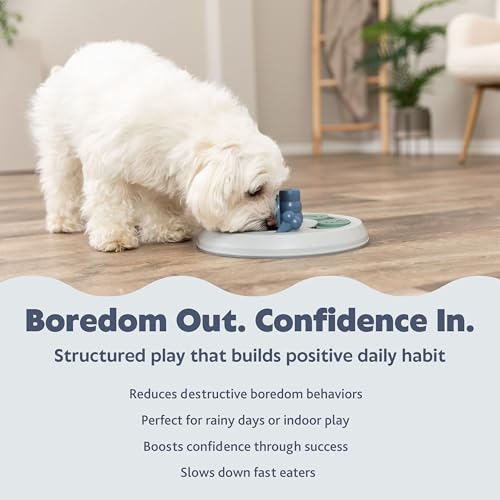 Flip Board Dog Activity Interactive Toy (Flip Board / Level 2)