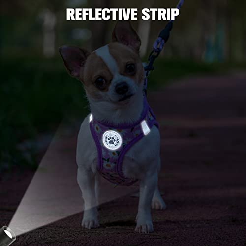 Small Dog Harness and Leash Set (XSmall(Chest Girth 13" - 14.5") / Purple Daisy)