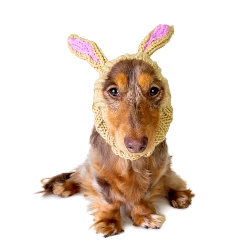 Jack Rabbit Costume (Small)