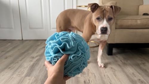 Medium Breed Snuffle Foraging Dog Puzzle Ball Toy Blue Large (Blue / Large)