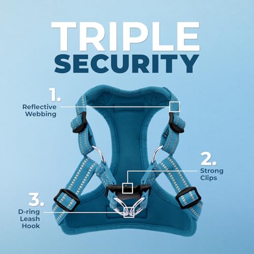Voyager Adjustable Step (Harness Leash Set (Turquoise) / XL)