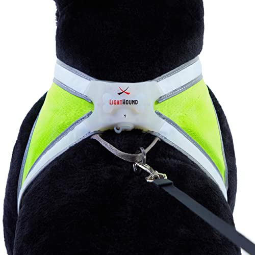 LightHound Light Up Reflective Dog Harness (Large)