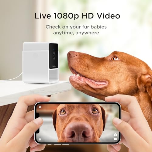 Cam (3-Pack) – Wi-Fi Pet & Security Camera with App