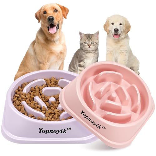 2 Pack Slow Feeder Dog Bowls for Medium Dogs & Cats (Medium / Pink and Purple)