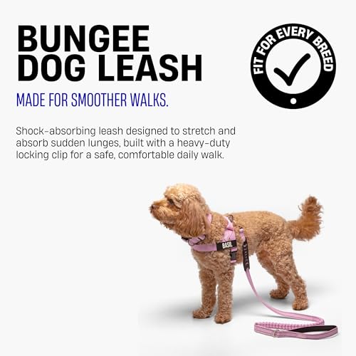 Bungee Dog Leash (Pink Camo / Regular)
