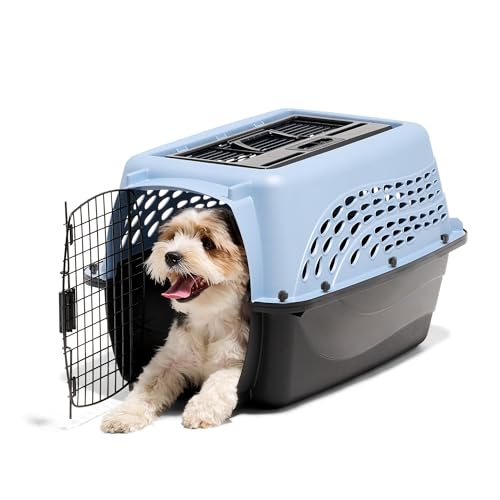 Two Door Plastic Pet Kennel for Small Dogs and Cats (Two-door / 24.1"L x 16.8"W x 14.5"H / BLUE)