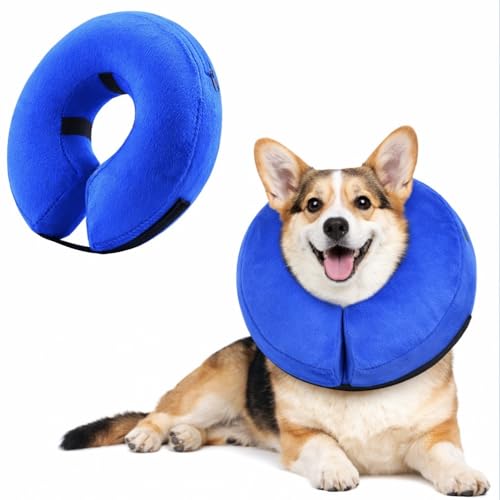 Inflatable Dog Cone Collar Alternative (Blue / XS [5"-8"])