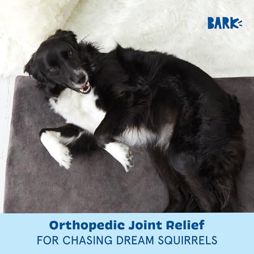 Orthopedic Dog Bed (Grey / Large)