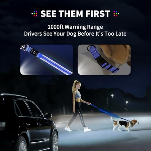 LED Dog Leash (Blue / 6 feet)