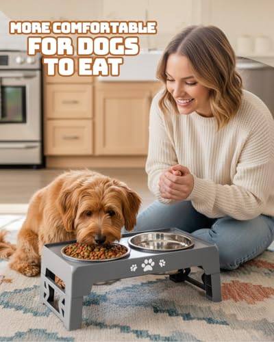 Elevated Dog Bowls for Small Dogs and Cats (for Small Dogs and Cats 2 Basic Bowls / Grey)