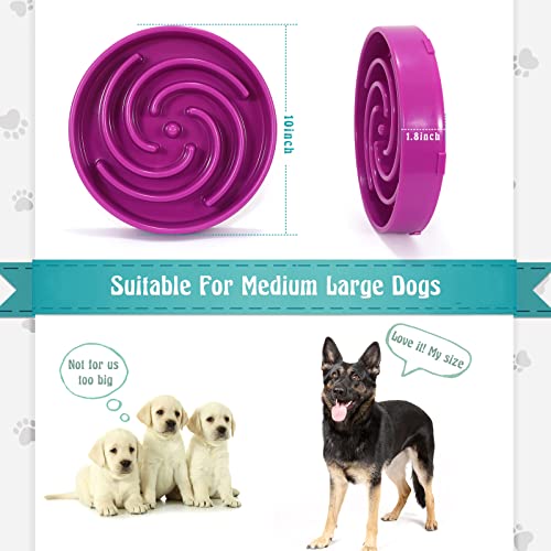 Slow Feeder Large Dog Bowl (Large / G-purple)