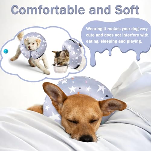 Recovery Donut Collar for Dogs & Cat (Grey / M+（neck 11"-14"）)