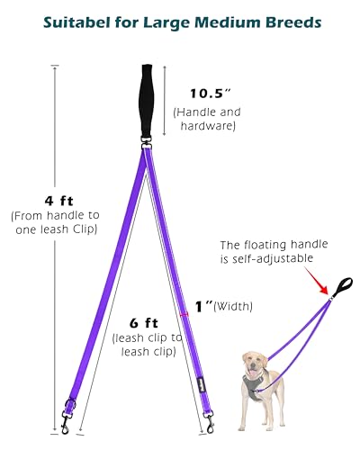 Two Point Control Dog Leash (Purple)
