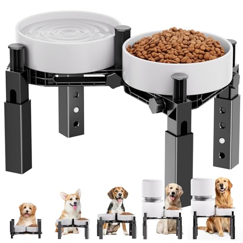Dog Bowl Stand Elevated Food Water Bowl Holder for Large Medium Small Sized Dog (Bowl Stand-B)