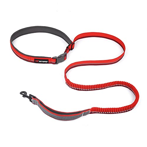 Hands Free Bungee Dog Leash (Fiery Red)