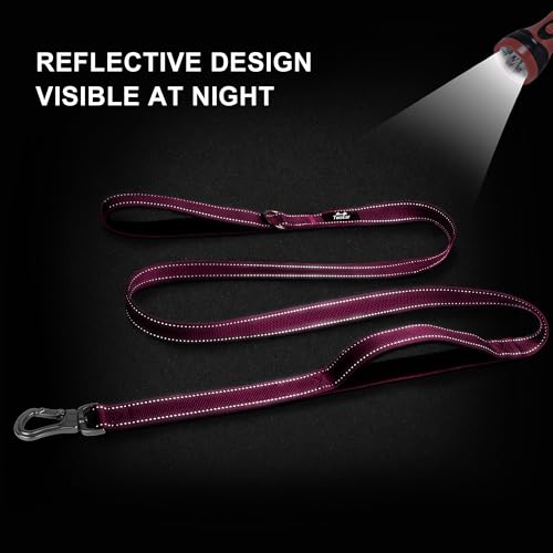 4FT 1IN Heavy Duty Dog Leash for Large Dogs with 2 Padded Handles (Rose / 1 in x 4 ft)