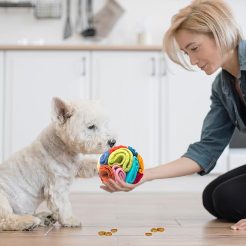 Snuffle Ball for Dogs