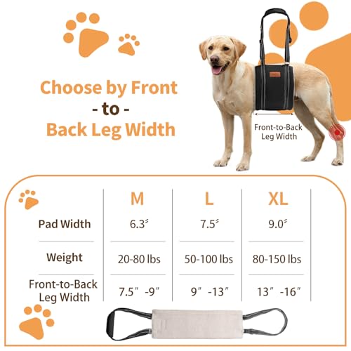 Dog Lift Harness for Large Dogs (Large (Pack of 1) / Black)