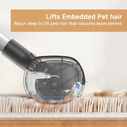 Pet Hair Remover for Carpet (blue)