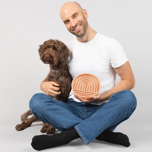 Slow Feeder Dog Bowl (Blush - Rainbow Design / Medium (7.5” Across x 1.5” Tall))