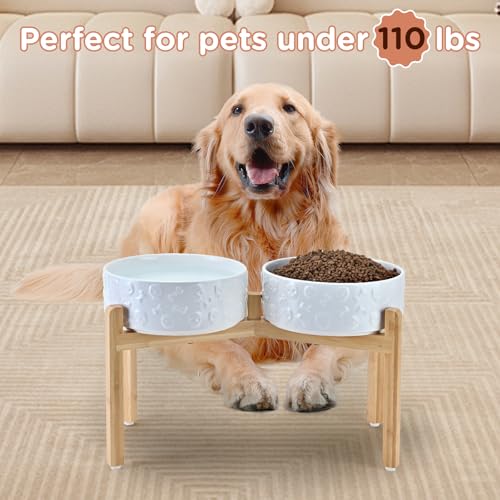 Elevated Dog Bowls Ceramic (8.3 in - 7.6 cups / White - Skull)