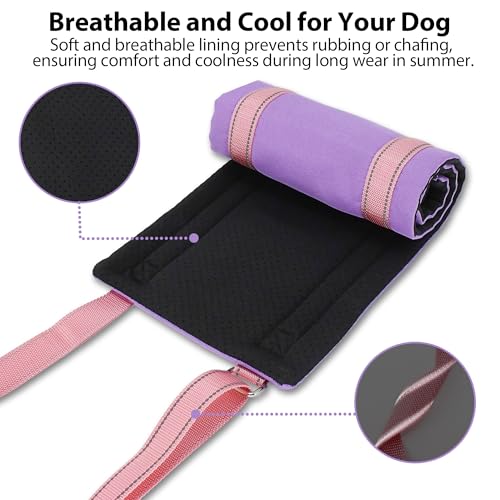 Summer Dog Lift Harness for Hind Leg Support (Purple / S)